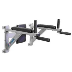 Sport-Thieme Wall-Mounted Dip Station -Fit Pro Sales 133 5200