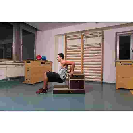 Sport-Thieme Combi Plyo Box 9 Sport-Thieme Combi Plyo Box - Image 7