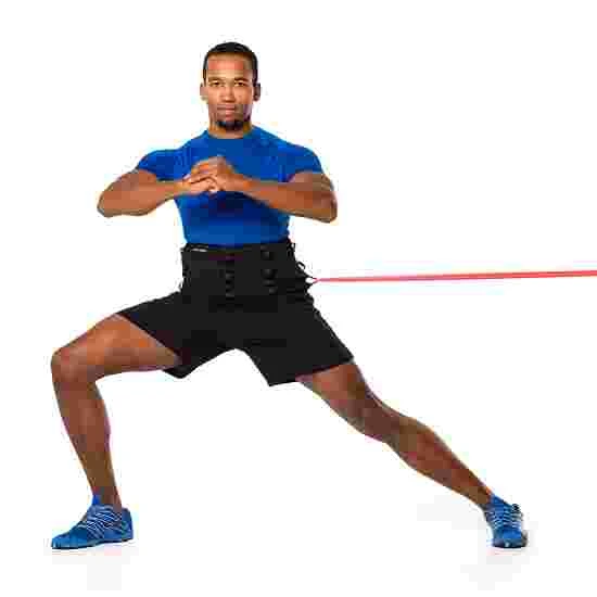 Artzt Vitality Belt 6 Artzt Vitality Belt - Image 4