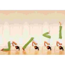 Feetup "Classic" Trainer -Fit Pro Sales 259 6802 2