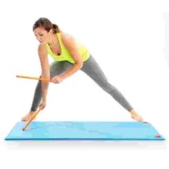 Fit-Sticks -Fit Pro Sales 270 9303 3