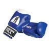 Green Hill Boxing Gloves -Fit Pro Sales 291 8004