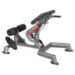 Sport-Thieme "OV" Back Extension Bench -Fit Pro Sales 307 8903