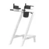 Sport-Thieme "SQ" Leg Raise 1 Sport-Thieme "SQ" Leg Raise -Fit Pro Sales 312 3007