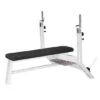 Sport-Thieme "SQ" Olympic Bench -Fit Pro Sales 312 3108