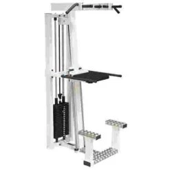 Sport-Thieme "SQ" Pull-Ups/Dips Machine