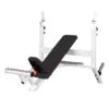 Sport-Thieme "SQ" Incline Bench -Fit Pro Sales 312 4505