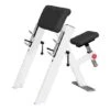Sport-Thieme "SQ" Preacher Curl Bench -Fit Pro Sales 312 5205
