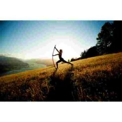 Stick Mobility Exercise Stick -Fit Pro Sales 316 7801 5