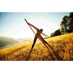 Stick Mobility Exercise Stick -Fit Pro Sales 316 7801 6