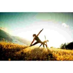 Stick Mobility Exercise Stick -Fit Pro Sales 316 7801 7