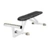 Sport-Thieme "SQ" Multipurpose Bench -Fit Pro Sales 325 6800